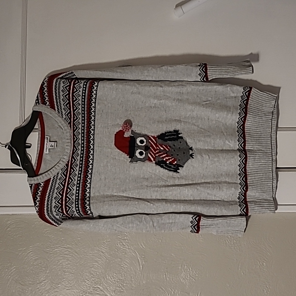 Juniors novelty sweater